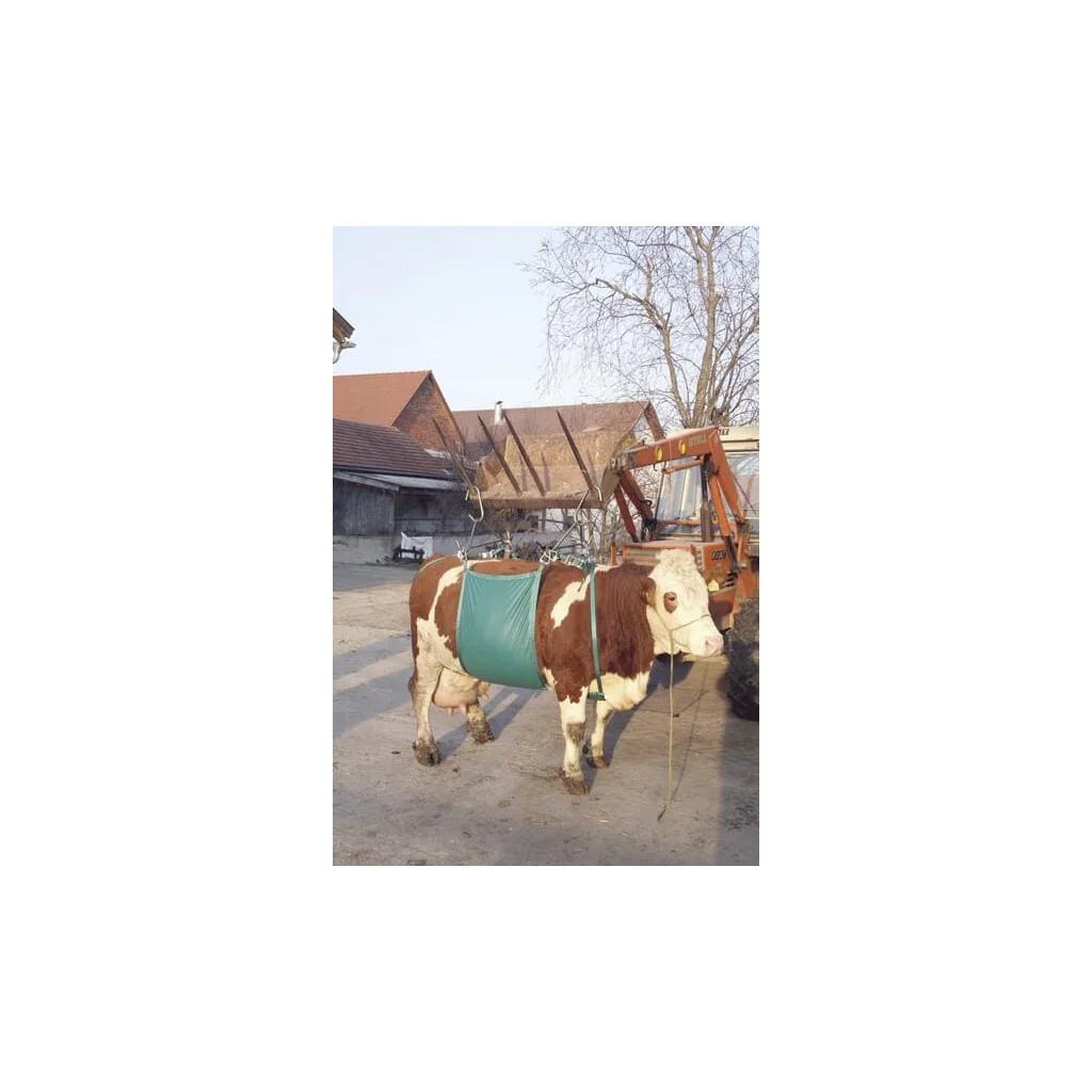 Dispozitiv ridicat bovine