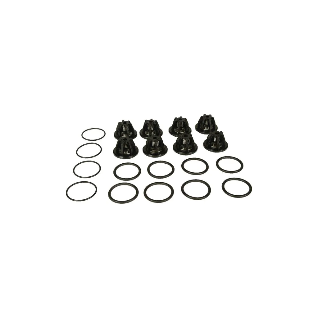 Set supape Bertolini