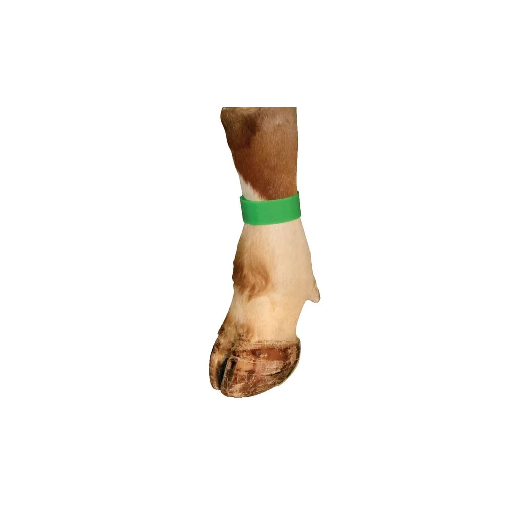 Bandă de identificare cu arici,verde