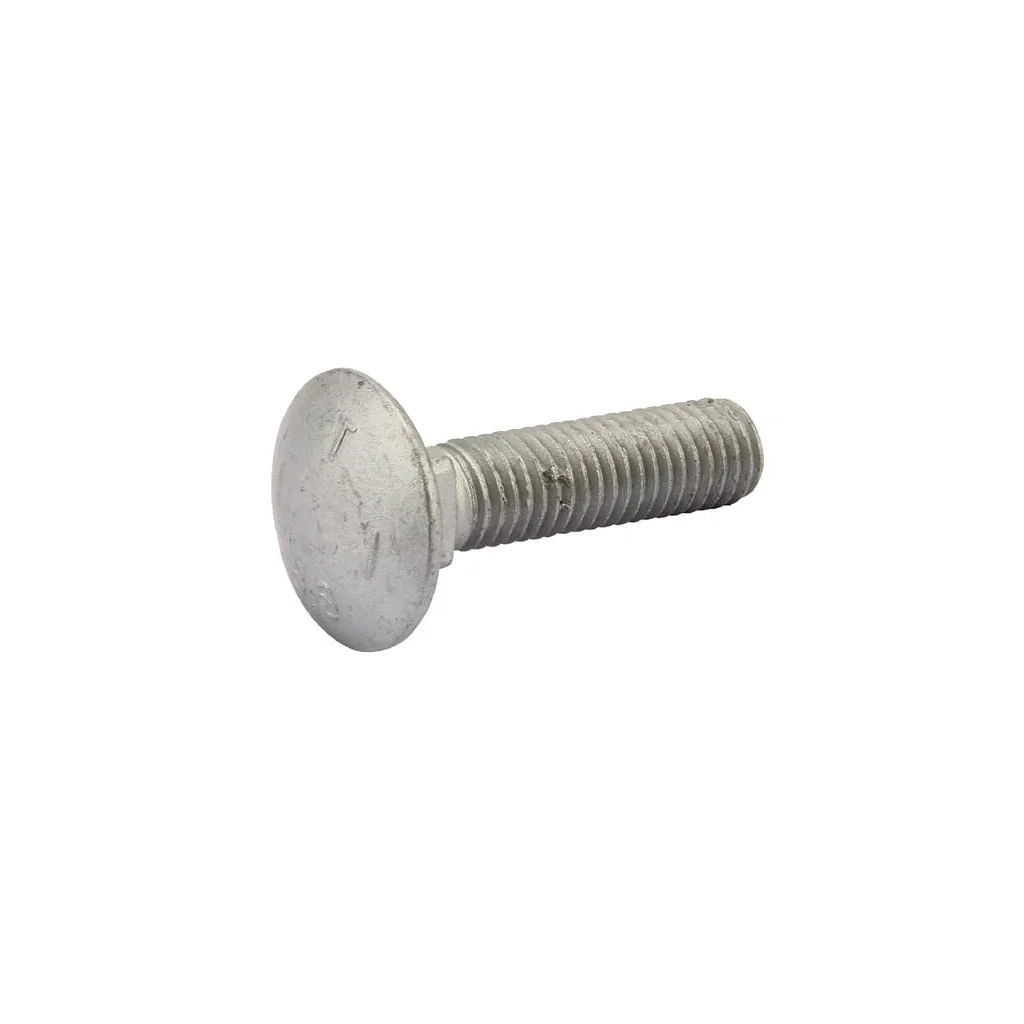 Șurub cap semirotund M10x40