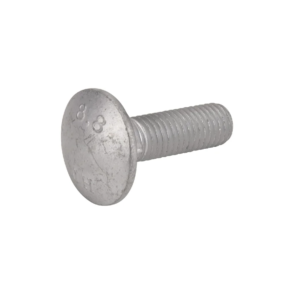 Șurub cap semirotund M12x40