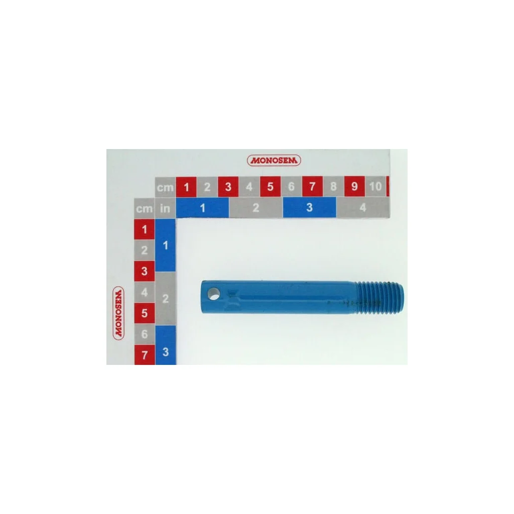 Arbore pentru MS 95