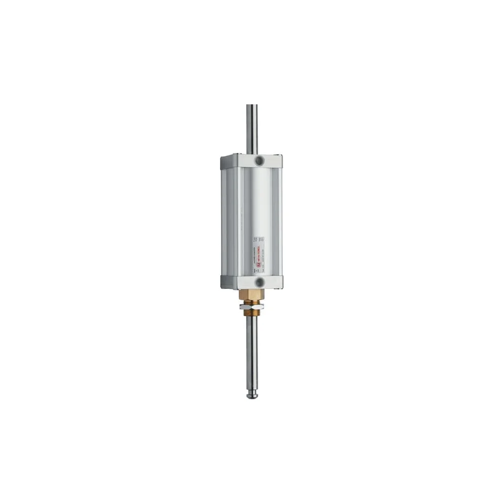 Cilindru pneumatic de 5" + tijă de piston străpunsă