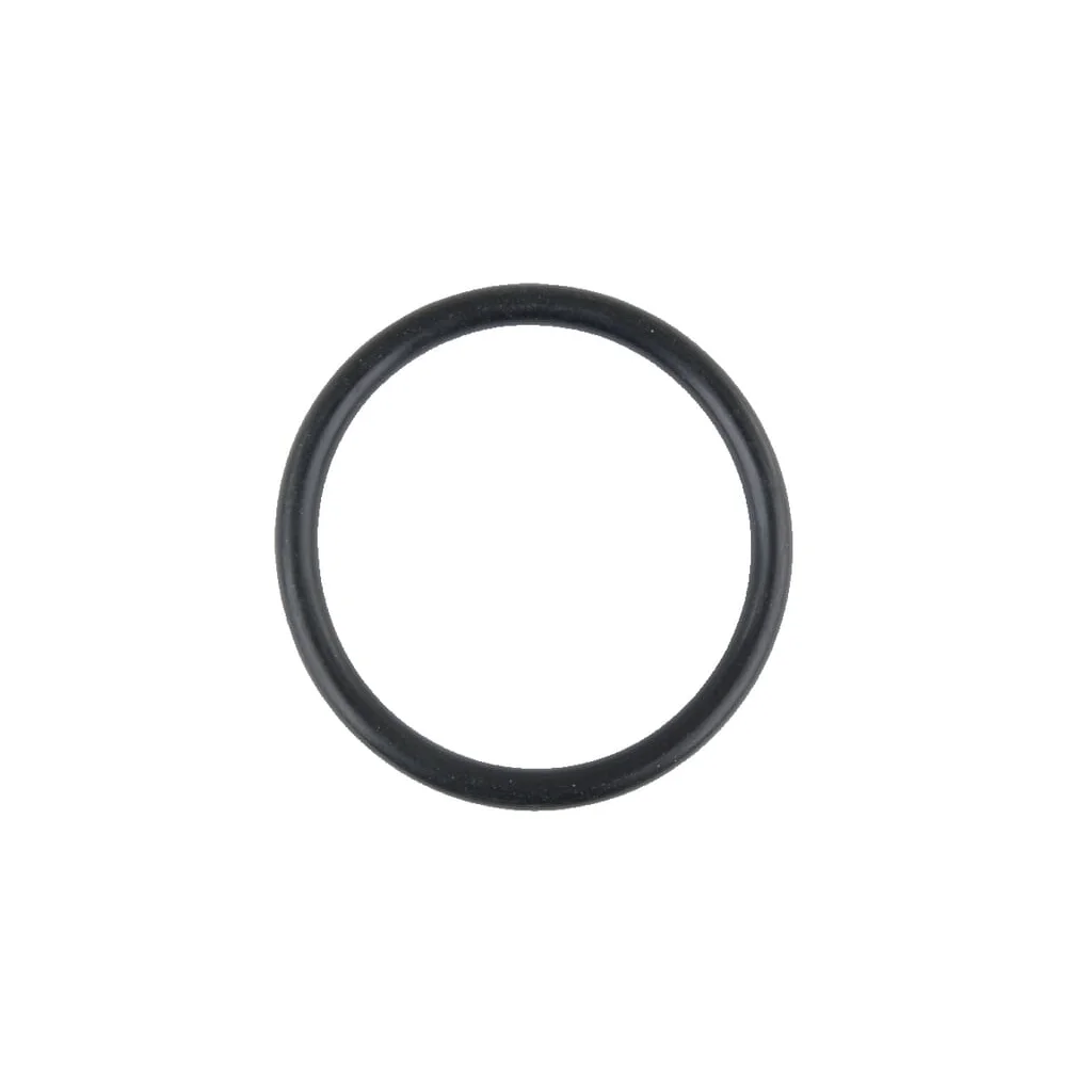 O-ring