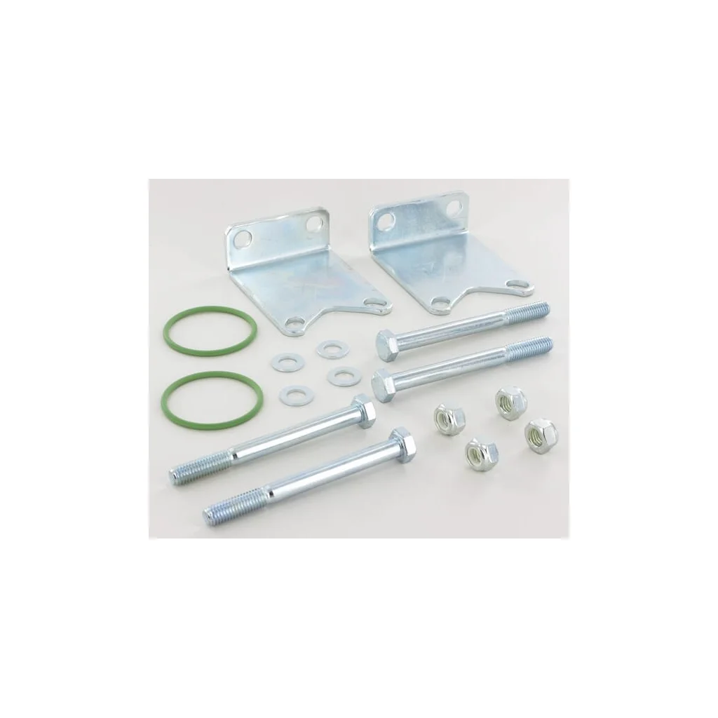 Set de fixare pentru o supapă 463
