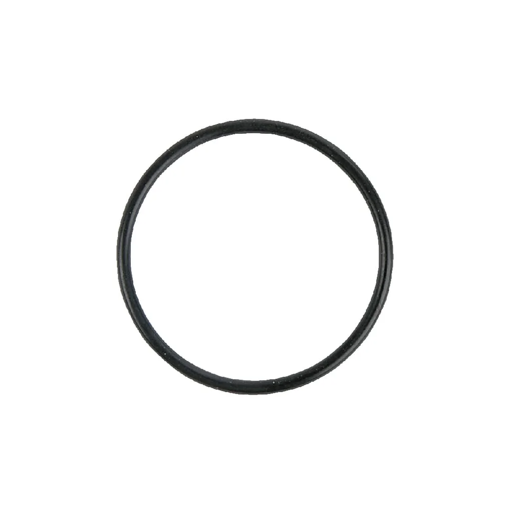 O-ring