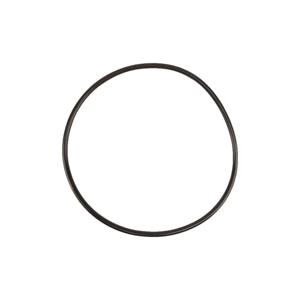 O-ring
