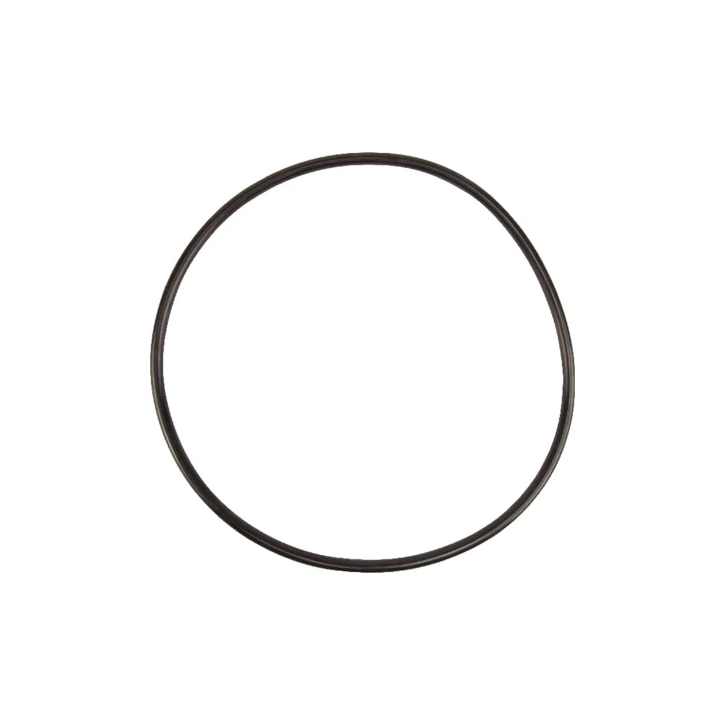 O-ring
