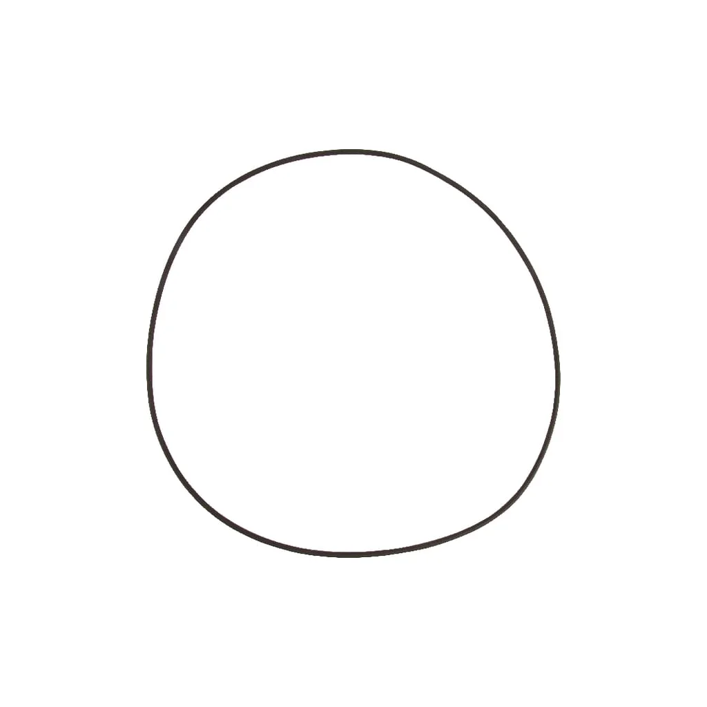 O-ring
