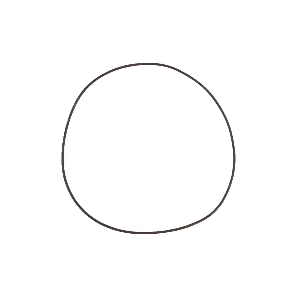 O-ring