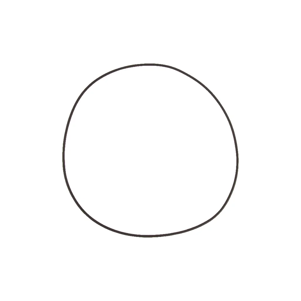 O-ring