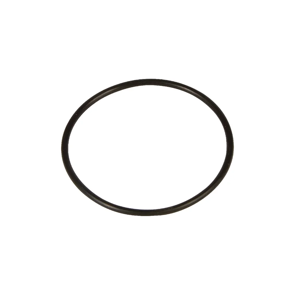 O-ring 55x2,5