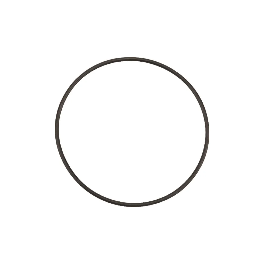 O-ring